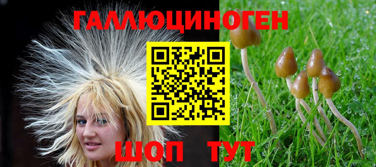Обь  Галлюциногенные грибы мицелий  Вход с VPN 